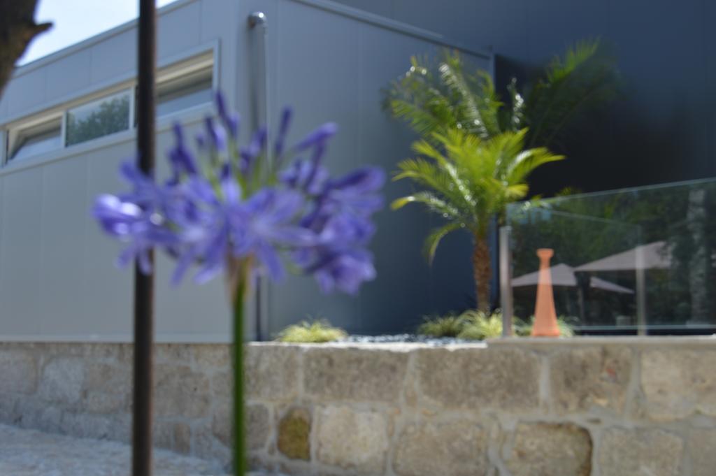 Quinta Das Tulipas Villa Barcelos Esterno foto